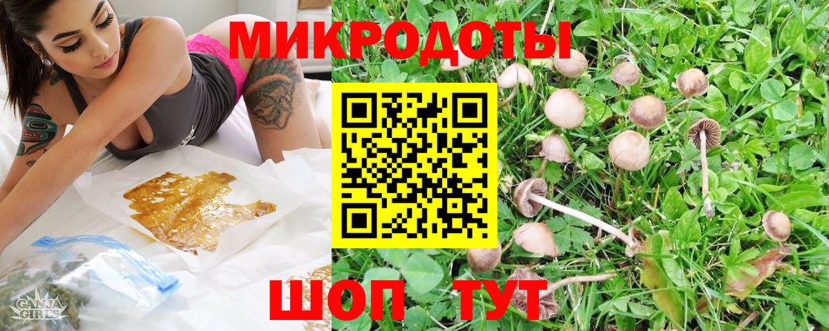 Галлюциногенные грибы Psilocybe  наркотики  Южноуральск  Вход с VPN 