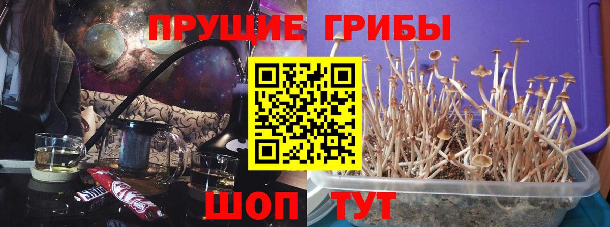 Псилоцибиновые грибы MAGIC MUSHROOMS Южноуральск